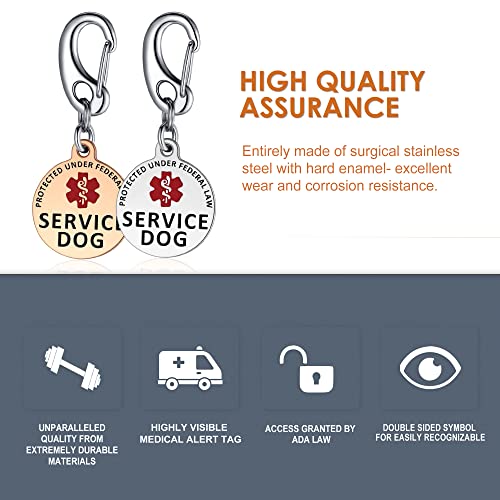 Leash King 1.25" Double-Sided Medical Alert Service Dog Tag with 1.3" Solid Quick Clip – PVD Gold