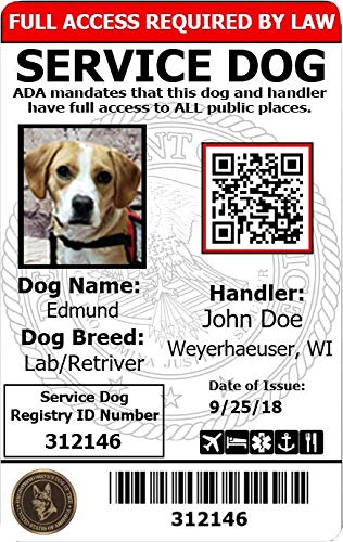 ActiveDogs Registered Service Dog Photo Identification Card w/Clip-On Carrier Holder + Free Digital Copy for Mobile - ADA & TSA Compliant