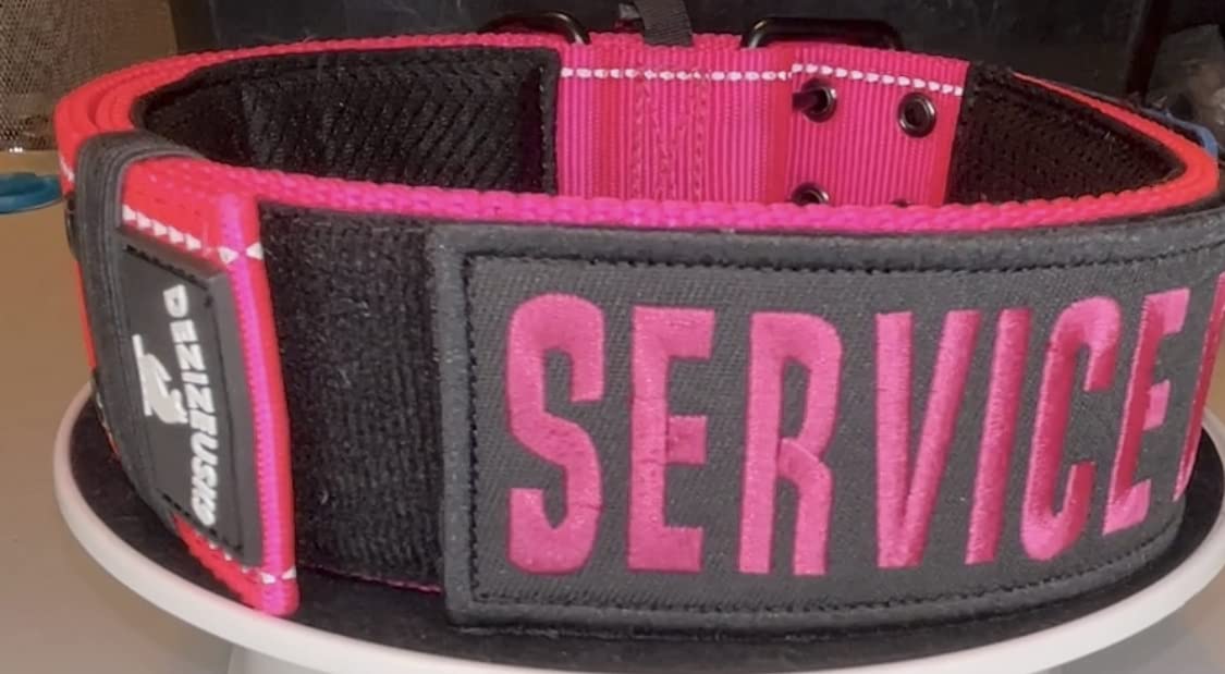 Service Dog Collar Vest Patches - 2 X 6 Inch Embroidered - Hook & Loop - Service Dog Patch - in Training Dog Patch - Do Not Pet Patch - SAR ESA K9 Emotional Support Dog Vest Or Therapy Dogs