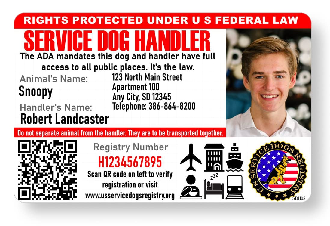 Just 4 Paws Custom Service Dog Handler & Dog ID Cards with QR Code & Security Seal and Optional Holograph | Registration to U S Service Dogs Registry Plus ID Holder & Digital ID