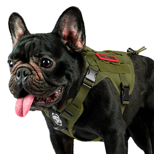 OneTigris Tactical Dog Harness Vest,No-Pull Service Dog Vest with Hook & Loop Panels,Adjustable Dog Vest Harness for Walking Hiking Training(Ranger Green,XS)